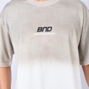 REMERON ESTABLISH OVERCRUDO